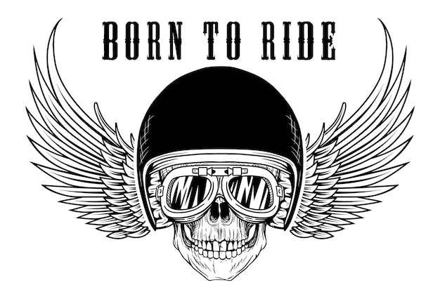 Skull born to ride