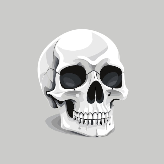 Vector skull cartoon vector on white background