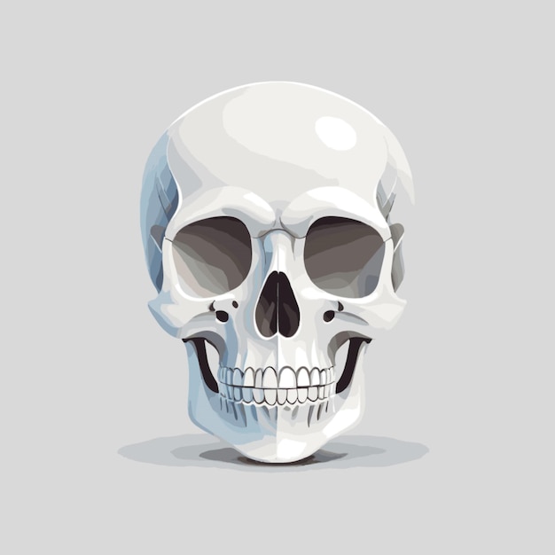Vector skull cartoon vector on white background