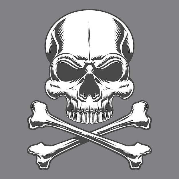 Skull and crossbones isolated on gray