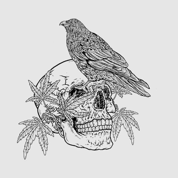 Skull and crow sketch art illustration