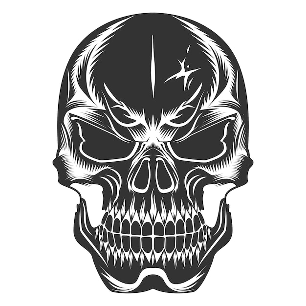 Skull design and skull vector art