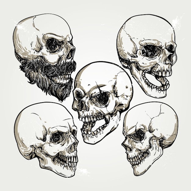 Vector skull designs collection