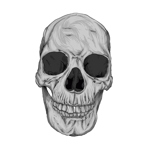 skull drawing for tattoo or tshirt design 01