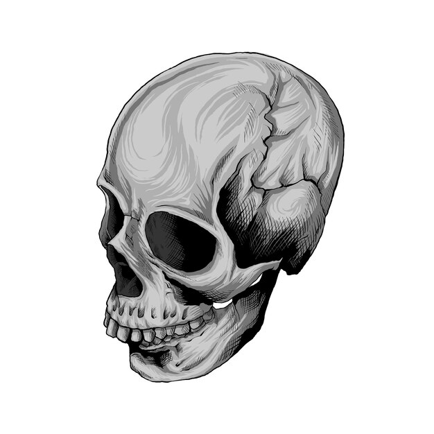 skull drawing for tattoo or tshirt design 04