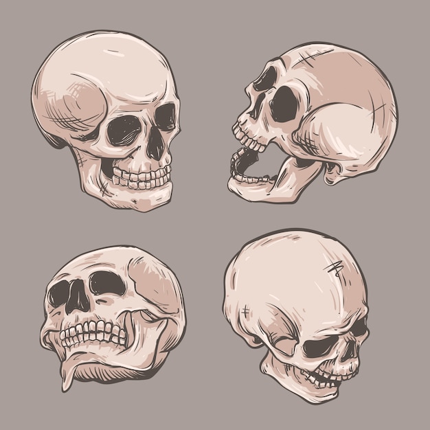 Vector skull figure in different angles