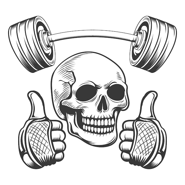 Vector skull gym element with dumble vector design