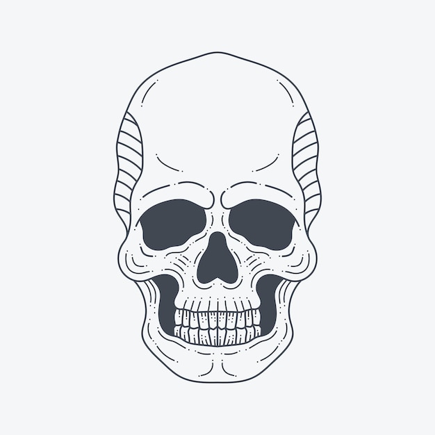 Skull head drawing illustration