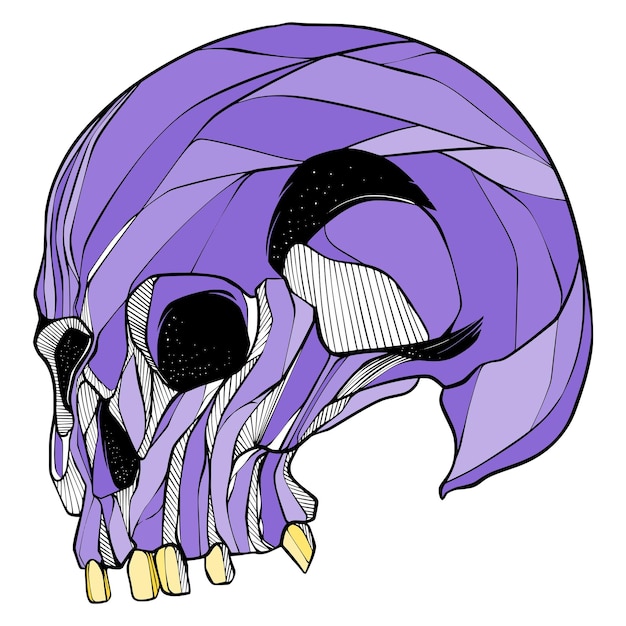 Vector skull illustration artwork dwsign tattoo vector