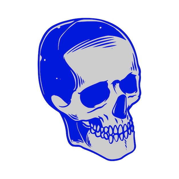 skull illustration head