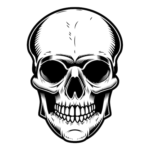 Illustrazione del cranio su sfondo bianco. elemento per poster, emblema, segno, distintivo. illustrazione