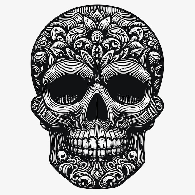 skull illustration with engraving style