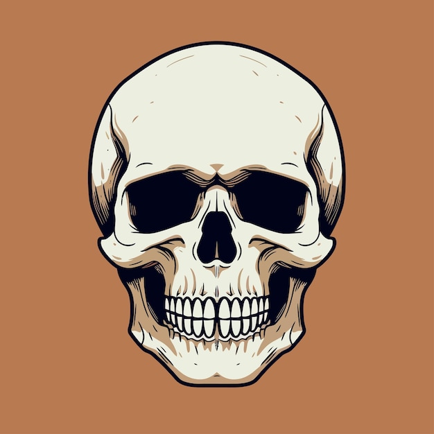 skull illustration