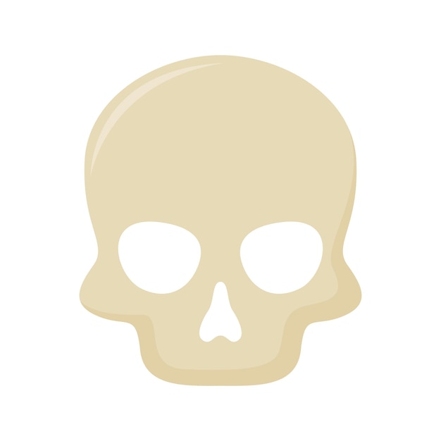 Skull isolated on white background