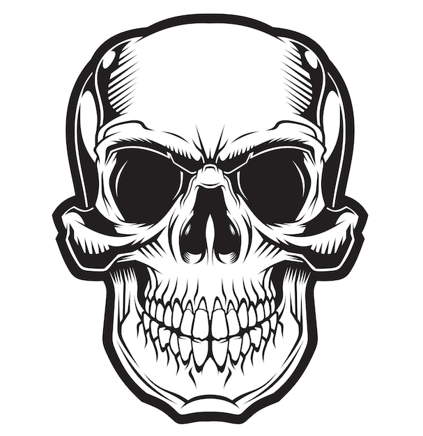 Vector skull isolated on white