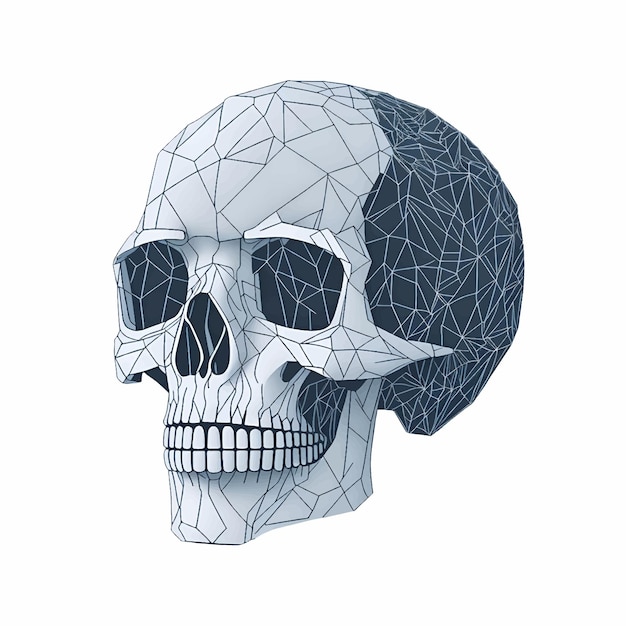 벡터 바탕에 고립된 두개골 라인 아트 터 일러스트레이션