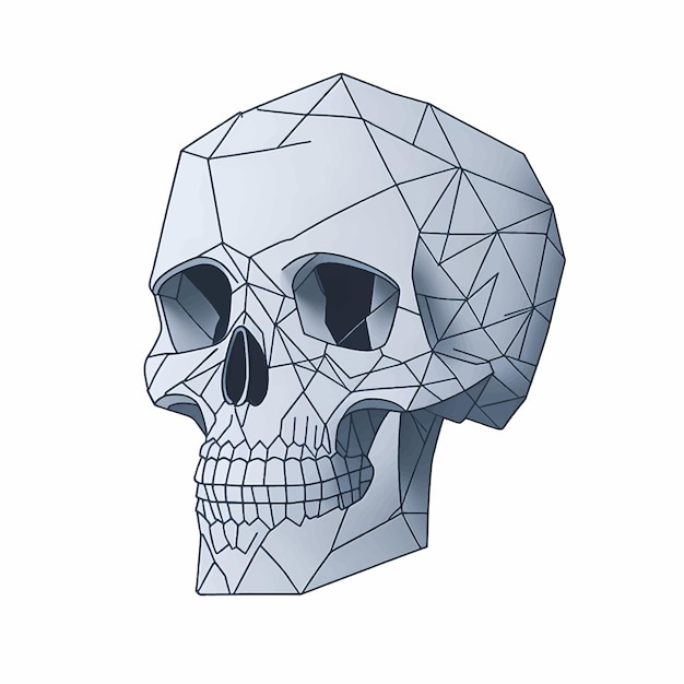 Skull line art isolated on white background Vector illustration