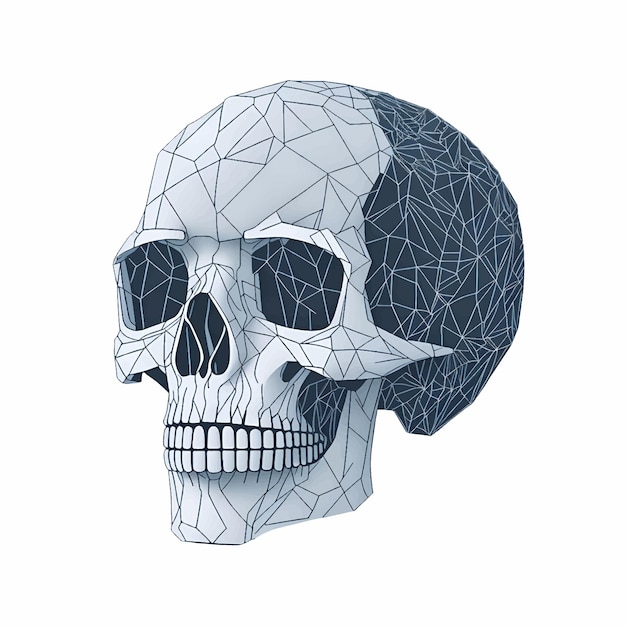 白い背景に隔離された頭蓋骨のラインアート ベクトルイラスト