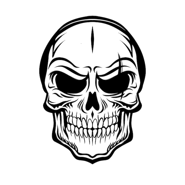 Skull Lineart Vector