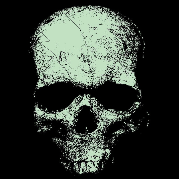 Skull looking out of the dark