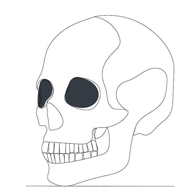 Skull one line drawing outline vector