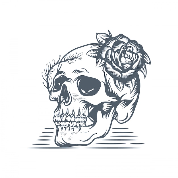 Vector skull rose  illustration