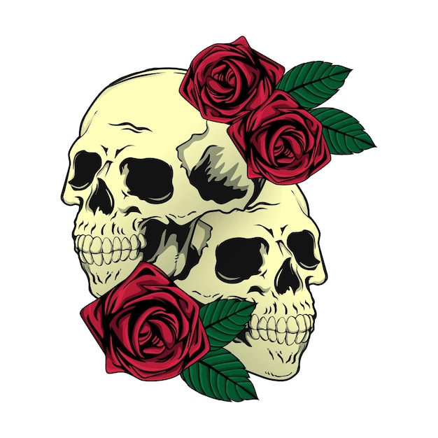 Vector skull and rose ilustration design for tshirt