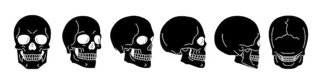 Skull set Human skull set Silhouette Vector