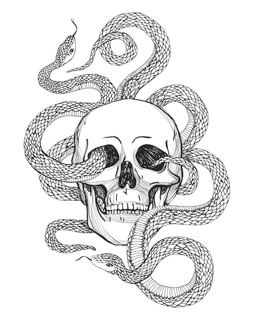 Skull and Snake Vintage Vector illustration