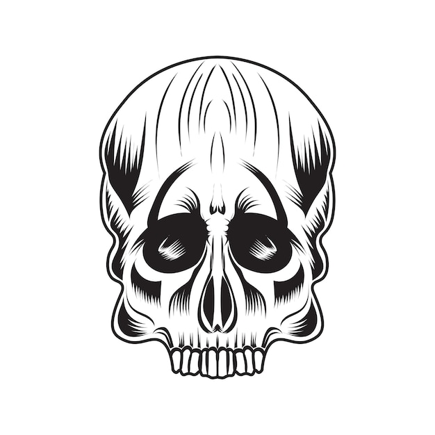 skull vector art illustration design