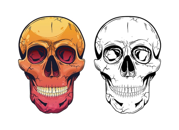 Skull vector design illustration isolated on white background