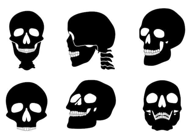 Skull vector design illustration isolated on white background