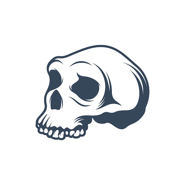 Skull vector illustration design Skull logo design Template