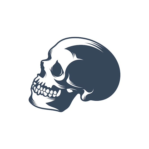 Skull vector illustration design Skull logo design Template