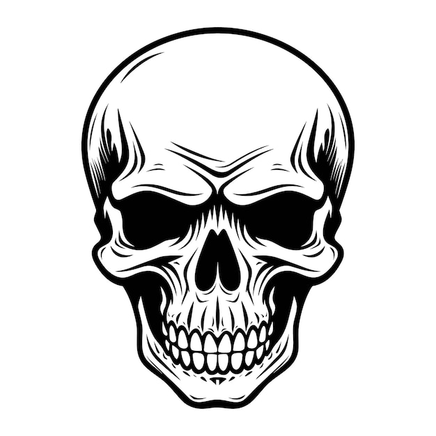Skull vector illustration design