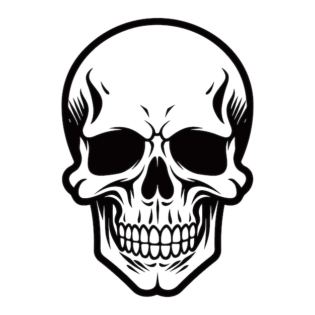 Skull vector illustration design