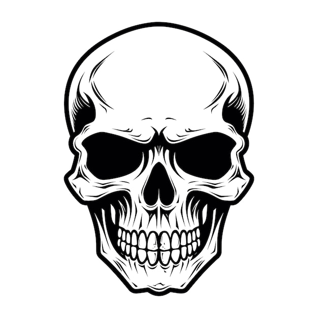 Skull vector illustration design