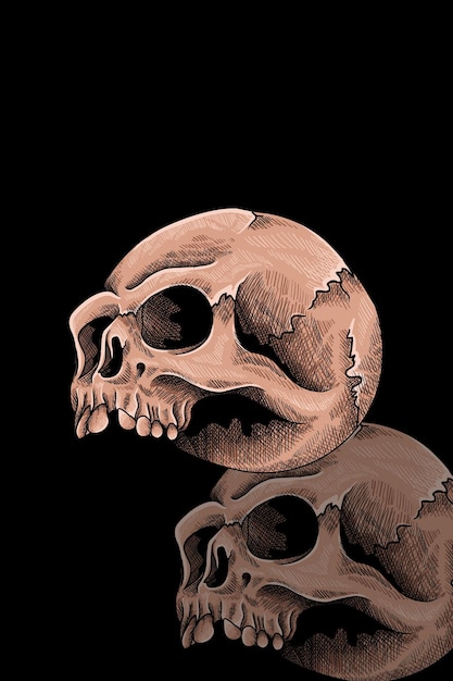 頭蓋骨のベクトル図
