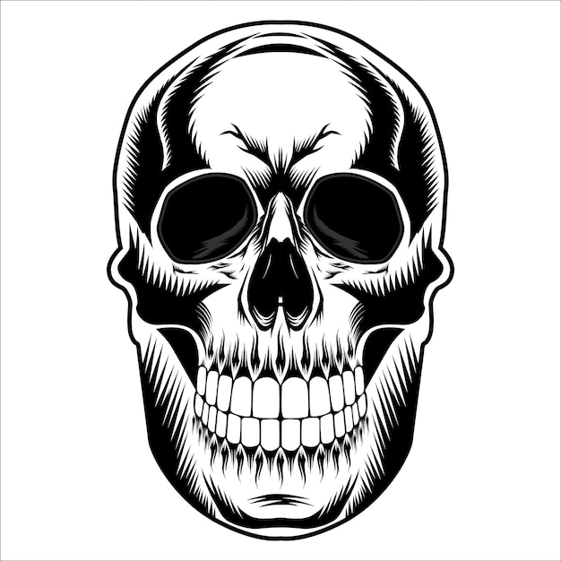 Vector skull vector illustration