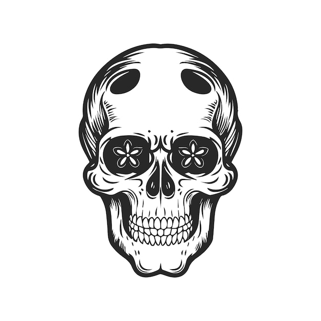 Skull vector logo and illustration