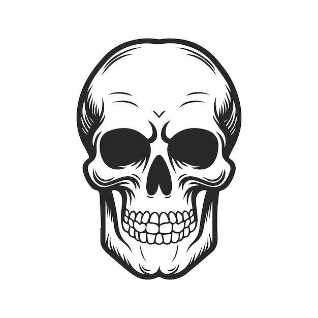 Vector skull vector logo and illustration