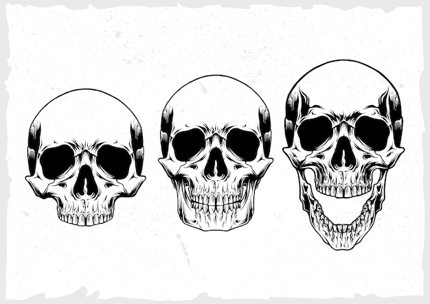 Skull vector set