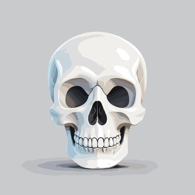 Skull vector on white background