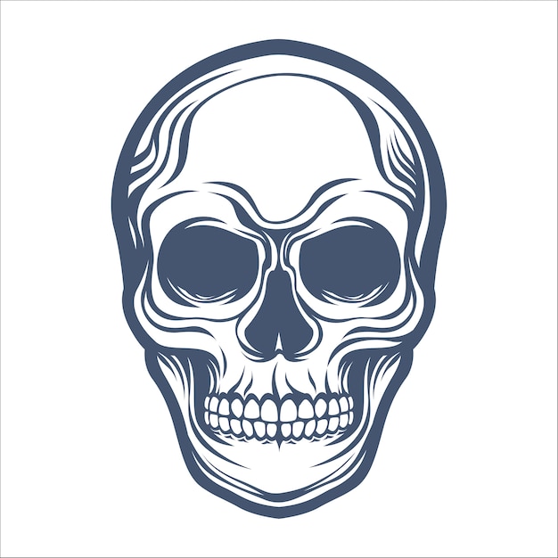 Vector skull vector