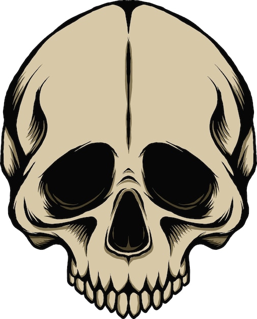 Vector skull vector