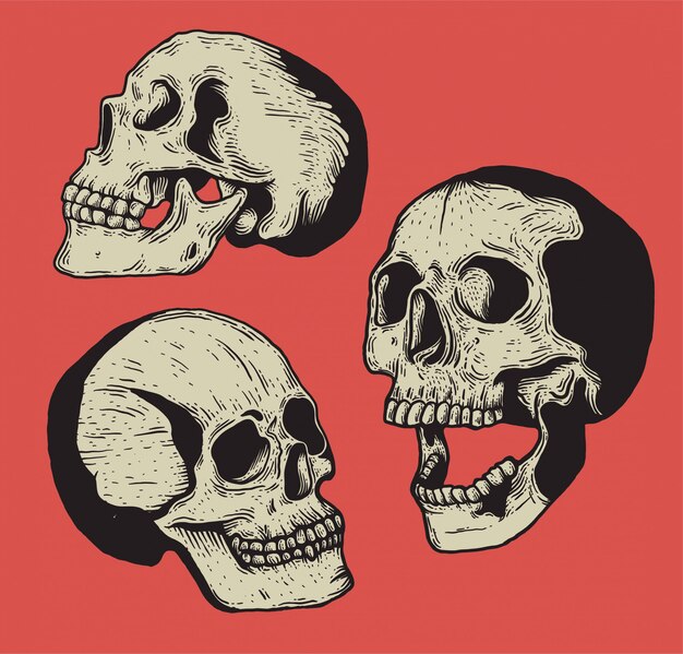 Vector skull vintage engraving style isolated hand drawn illustration.