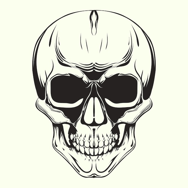 Skull vintage style. Vector illustration.