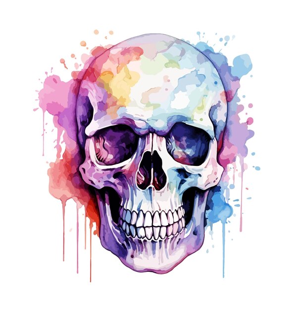 Skull Watercolor Clipart Vector