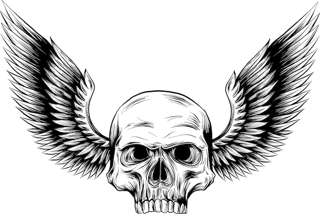 Vector skull and wings in engraving style