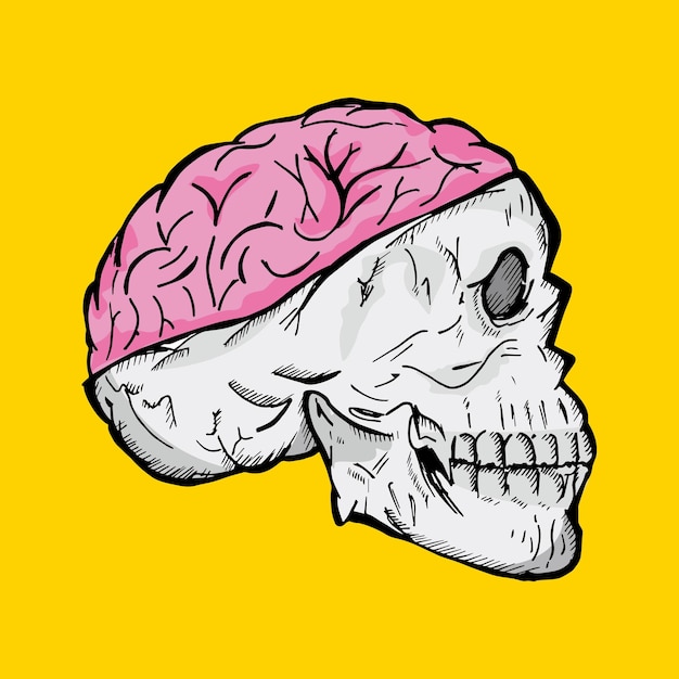 skull with brain organs
